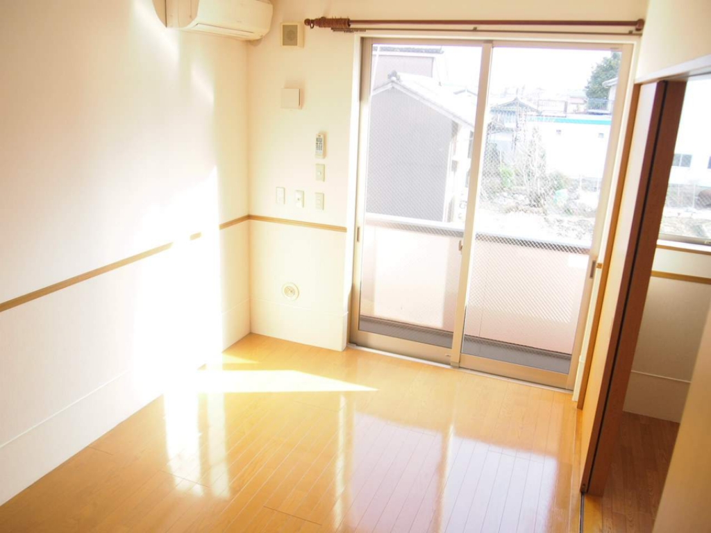 アビシニアン その他